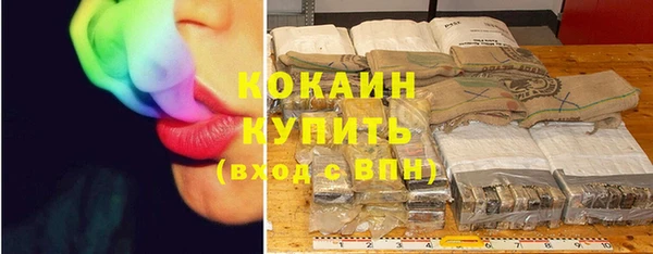 гашик Горнозаводск