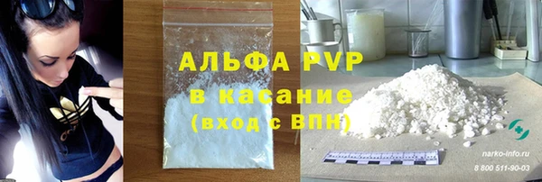 гашик Аркадак