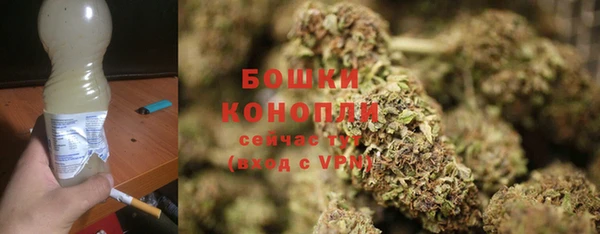 spice Арсеньев