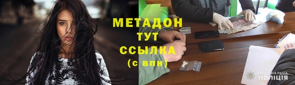 прущие грибы Елабуга