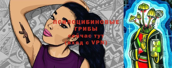гашик Аркадак