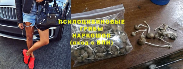 spice Арсеньев
