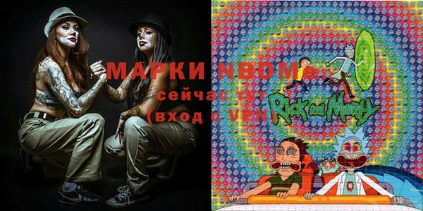 гашик Аркадак