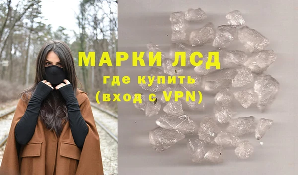 гашик Аркадак