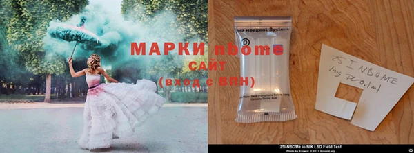гашик Аркадак