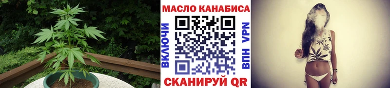 купить наркотики цена  Николаевск-на-Амуре  OMG как войти  ТГК гашишное масло 