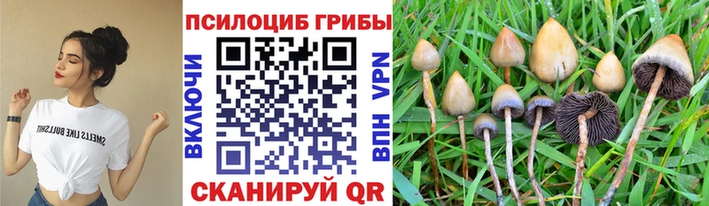 купить наркоту  Николаевск-на-Амуре  Псилоцибиновые грибы мухоморы 